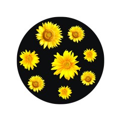 Gobos （single color to three colors, full color)