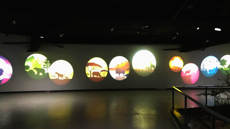 The application of gobo projector in the museum(图4)